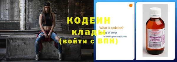 прущие грибы Балахна