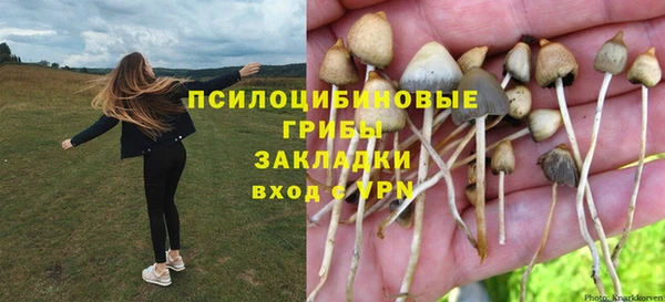 прущие грибы Балахна
