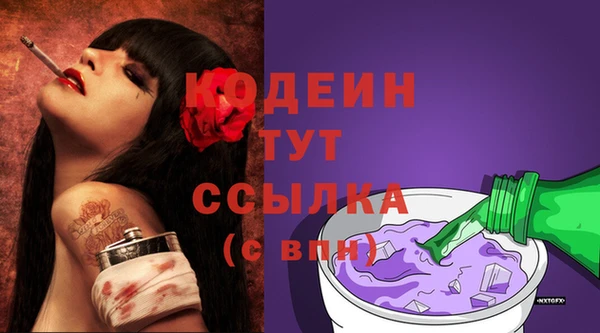 прущие грибы Балахна